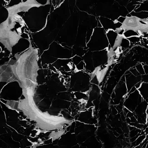 Meraki Marble Nero Fiorito